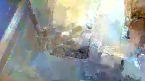 Snapshot of forest133 chatting on 01-05-25, 01:36 forest133 online show from 01-05-25, 01:36