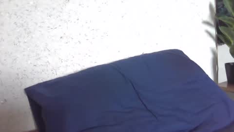 fox_red_lady7 online show from 03-08-25, 08:11