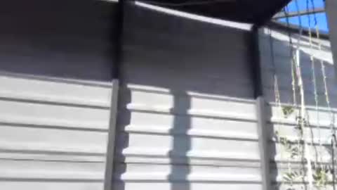 Snapshot of fox_red_lady7 chatting on 07-30-26, 04:06 fox_red_lady7 online show from 07-30-26, 04:06