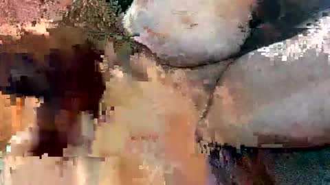 Snapshot of foxhole23 chatting on 09-13-25, 10:59 foxhole23 online show from 09-13-25, 10:59