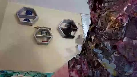 Snapshot of foxyanjel chatting on 10-27-25, 04:00 foxyanjel online show from 10-27-25, 04:00