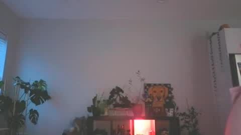 Snapshot of foxyredddd chatting on 12-16-25, 11:21 beautiful blair online show from 12-16-25, 11:21