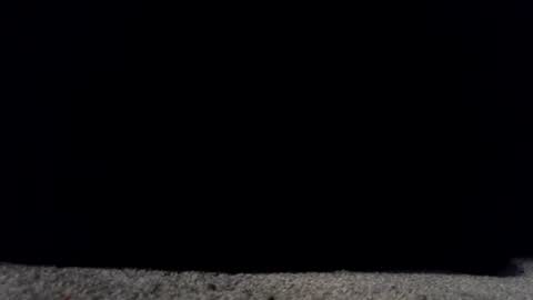 francescafey online show from 03-17-26, 06:50