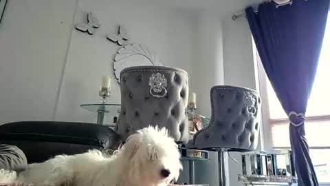 franciscomalin online show from 07-29-26, 06:55