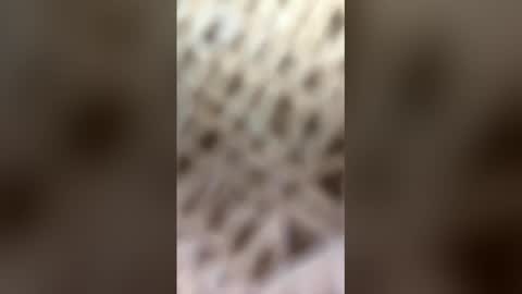 fransicus1988 online show from 03-19-26, 09:46