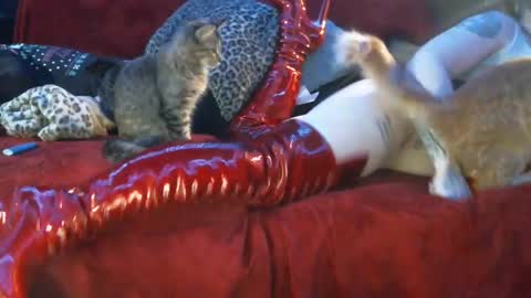 Snapshot of freakyspun101 chatting on 01-13-25, 09:52 freakyspun101 online show from 01-13-25, 09:52