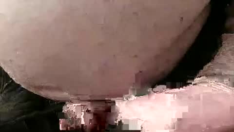 David Fredal online show from 01-28-25, 05:03