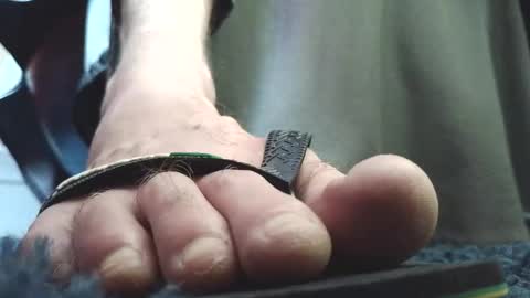 Snapshot of fredthetom12 chatting on 02-04-26, 02:45 Greedy Fred online show from 02-04-26, 02:45