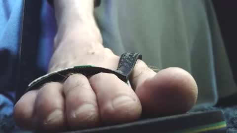 Snapshot of fredthetom12 chatting on 02-05-26, 02:54 Greedy Fred online show from 02-05-26, 02:54