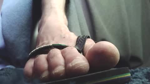 Snapshot of fredthetom12 chatting on 02-18-26, 02:13 Greedy Fred online show from 02-18-26, 02:13