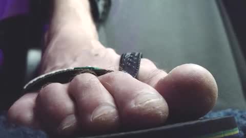 Snapshot of fredthetom12 chatting on 02-20-26, 02:30 Greedy Fred online show from 02-20-26, 02:30