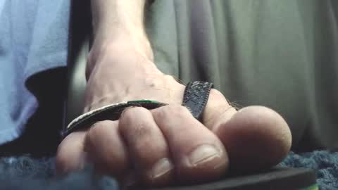 Snapshot of fredthetom12 chatting on 02-23-26, 02:47 Greedy Fred online show from 02-23-26, 02:47