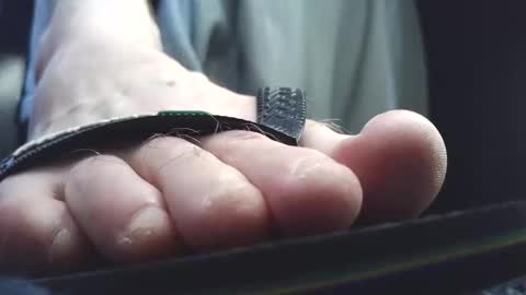 Snapshot of fredthetom12 chatting on 03-10-26, 03:06 Greedy Fred online show from 03-10-26, 03:06