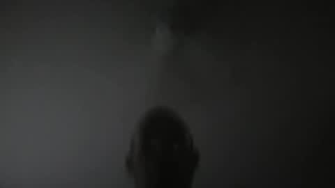 freeduggy online show from 07-31-26, 11:42