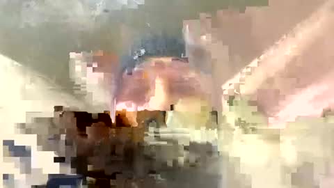 Snapshot of frenchhard0000 chatting on 12-17-24, 12:34 Horny french hard online show from 12-17-24, 12:34
