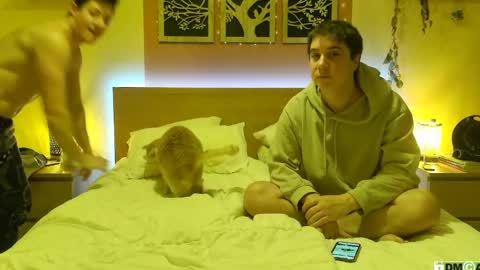 Snapshot of frenchhornybibs chatting on 01-26-25, 08:02 French Horny Bibs online show from 01-26-25, 08:02