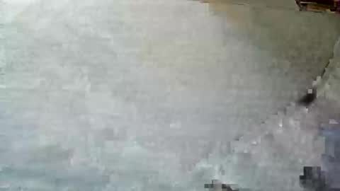 frenchpapalover online show from 12-05-24, 12:33