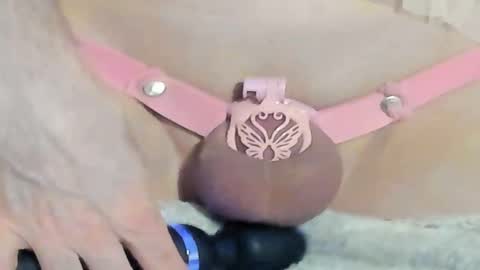 Meadow online show from 12-28-24, 02:11