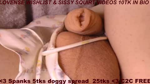 Meadow online show from 03-01-26, 09:33