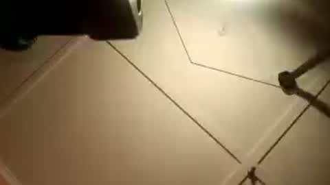 Snapshot of fucmebudoo chatting on 08-02-26, 02:32 Warwick online show from 08-02-26, 02:32