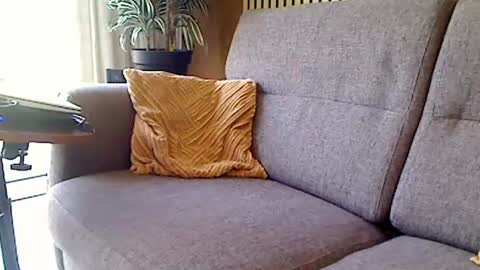 fun4couples online show from 06-19-26, 09:46