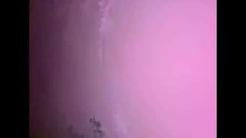 Daniel kim online show from 11-17-25, 07:30