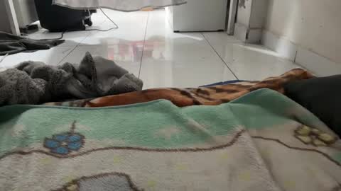 Snapshot of gab021593 chatting on 01-08-26, 01:57 gab021593 online show from 01-08-26, 01:57