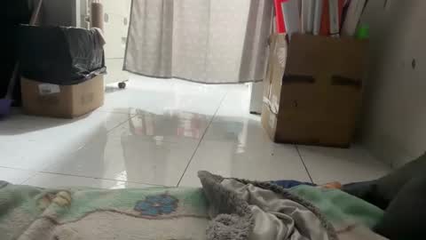 Snapshot of gab021593 chatting on 01-14-26, 03:06 gab021593 online show from 01-14-26, 03:06