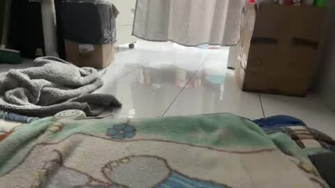 Snapshot of gab021593 chatting on 01-16-26, 03:38 gab021593 online show from 01-16-26, 03:38