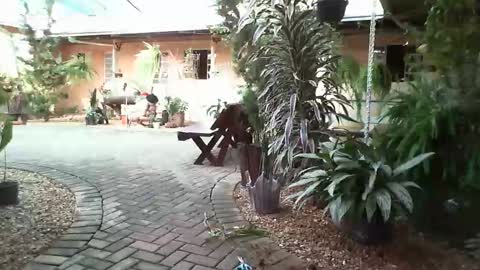 Snapshot of gabibrasil chatting on 01-31-25, 08:22 gaby layla online show from 01-31-25, 08:22