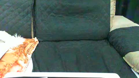 Snapshot of gabibrasil chatting on 02-10-25, 11:45 gaby layla online show from 02-10-25, 11:45