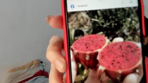 Gabi online show from 01-19-25, 12:50