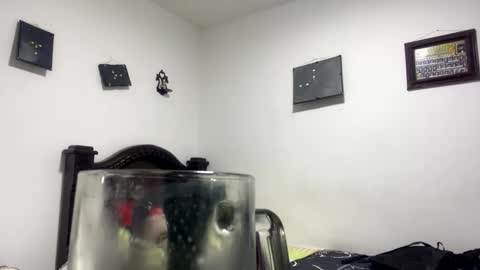 Snapshot of gadiel_sex chatting on 10-31-25, 11:39 gadiel_sex online show from 10-31-25, 11:39