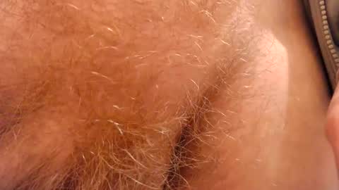 Snapshot of gae89tano chatting on 02-07-25, 11:03 gae89tano online show from 02-07-25, 11:03