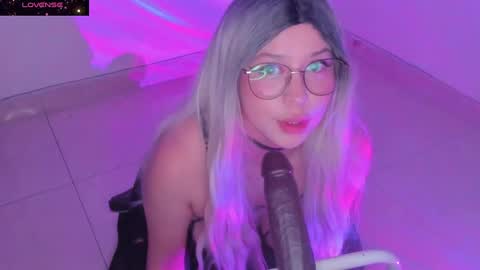 PROXIMO SHOW NOVIEMBRE 16   NEXT SHOW NOVEMBER  16    online show from 12-15-24, 02:19