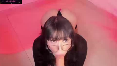 PROXIMO SHOW NOVIEMBRE 16   NEXT SHOW NOVEMBER  16    online show from 09-19-25, 09:59