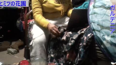 Snapshot of gardeniaspear chatting on 12-09-24, 08:33 Gardenia online show from 12-09-24, 08:33