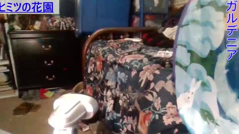 Snapshot of gardeniaspear chatting on 12-28-24, 05:55 Gardenia online show from 12-28-24, 05:55
