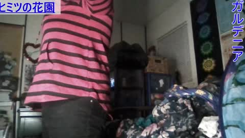 Snapshot of gardeniaspear chatting on 01-07-25, 07:42 Gardenia online show from 01-07-25, 07:42
