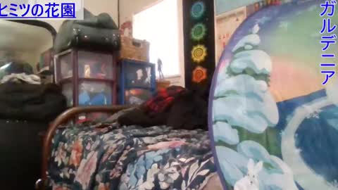 Snapshot of gardeniaspear chatting on 01-08-25, 06:31 Gardenia online show from 01-08-25, 06:31