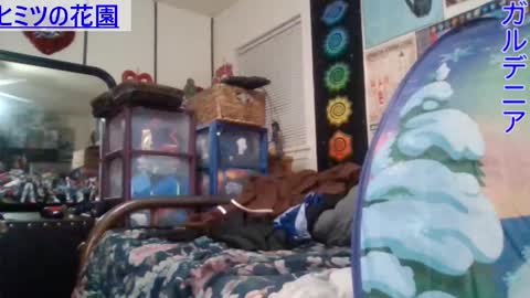 Snapshot of gardeniaspear chatting on 01-29-25, 08:51 Gardenia online show from 01-29-25, 08:51
