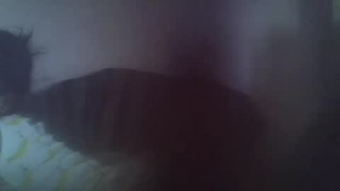 Snapshot of gasielah chatting on 01-27-25, 01:19 gasielah online show from 01-27-25, 01:19