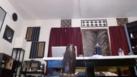 gatewaylaptop2019 online show from 04-19-26, 06:10