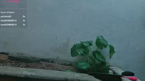 gaviluc_ online show from 07-28-26, 03:21