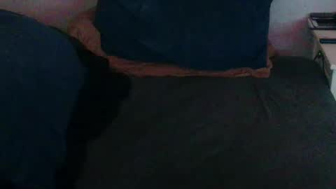 Snapshot of geminix22 chatting on 11-30-25, 06:17 MrMiller online show from 11-30-25, 06:17