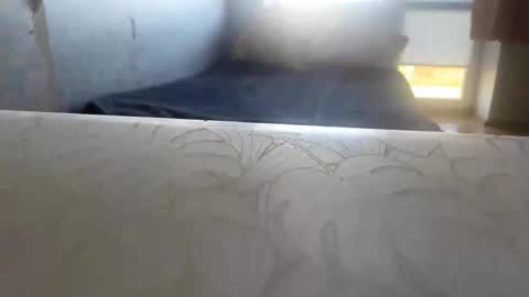 Snapshot of genesisschaufelberge chatting on 09-29-25, 08:52 Mila online show from 09-29-25, 08:52