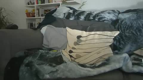 Snapshot of geon2xx chatting on 12-19-25, 11:28 Geon online show from 12-19-25, 11:28