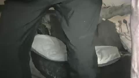 Snapshot of geon2xx chatting on 02-01-26, 11:14 Geon online show from 02-01-26, 11:14