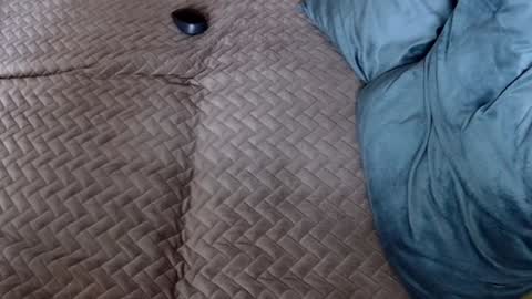 Snapshot of georgiapeachgirl chatting on 11-30-25, 10:19 Melissa online show from 11-30-25, 10:19