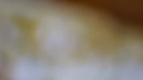 germanandy71 online show from 11-10-25, 09:19